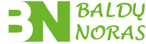 Baldų noras - logo